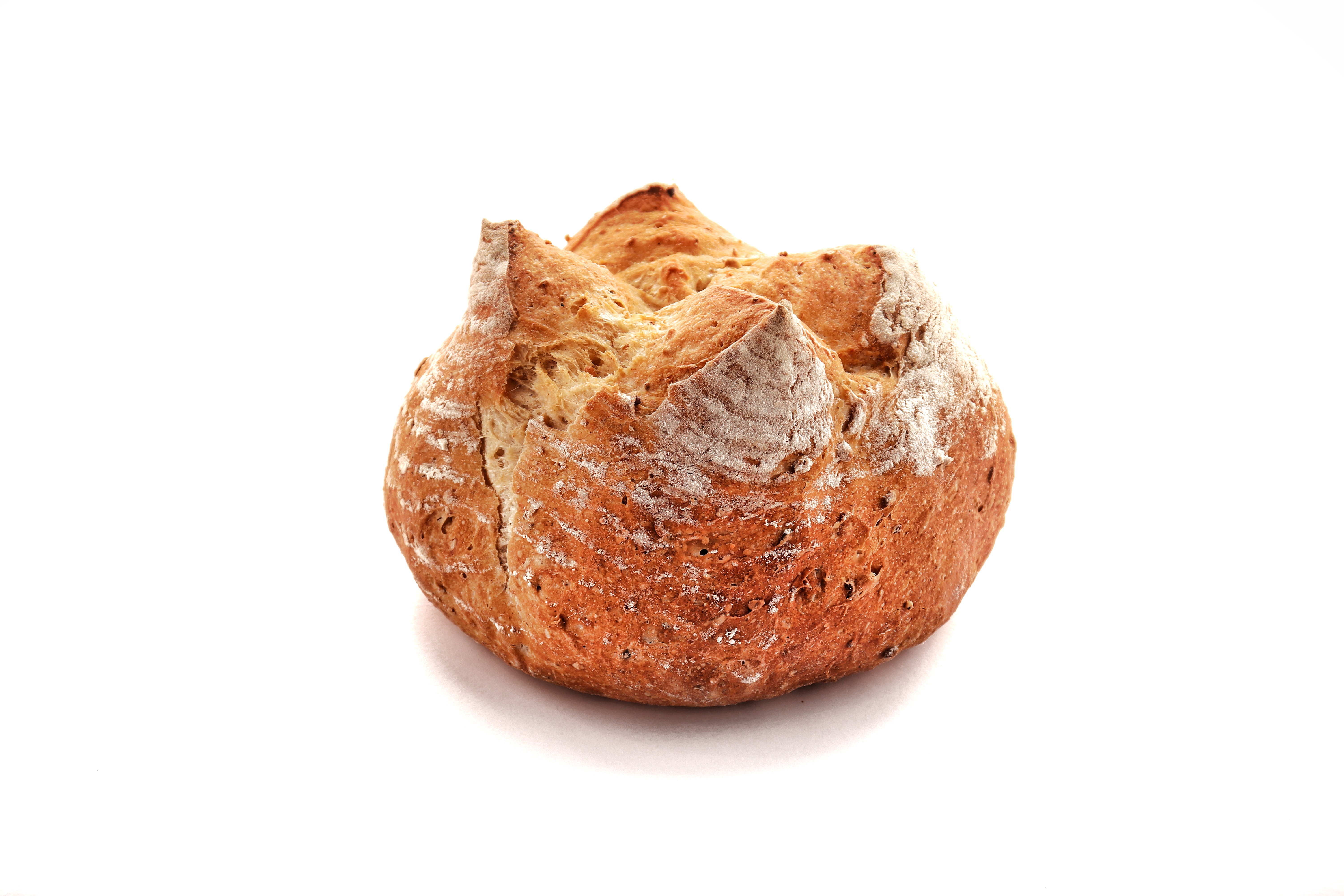 Sour Dough Bread